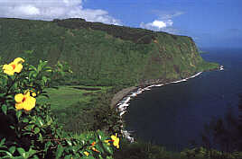 Waipio Valley - ein Traum in grn